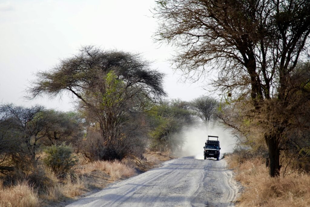 A safari vehicle driving down a dusty road lined with acacia trees in Tarangire National Park. The scene captures the rugged beauty of the African wilderness, with dry vegetation and a clear sky above.