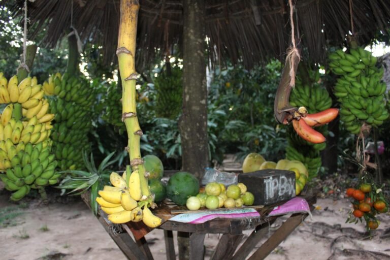 A variety of fresh tropical fruits hanging in a stall, including bananas, papayas, and citrus, with lush greenery in the background on the island of Zanzibar.