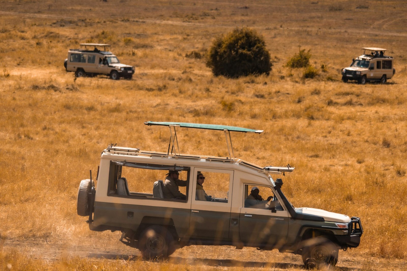 Four safari vehicles with open roofs driving through the golden grasses of the African savanna, carrying tourists on a wildlife tour.