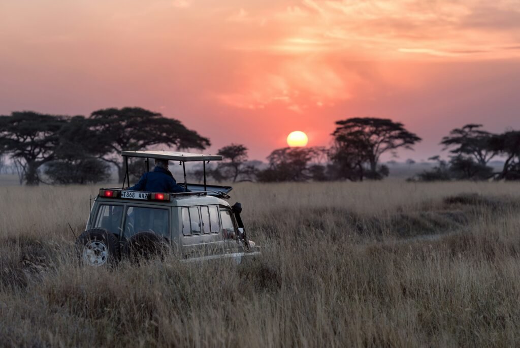 Photo of a safari vehicle driving through golden grasslands at sunset, with the sun dipping below the horizon and acacia trees silhouetted in the background.